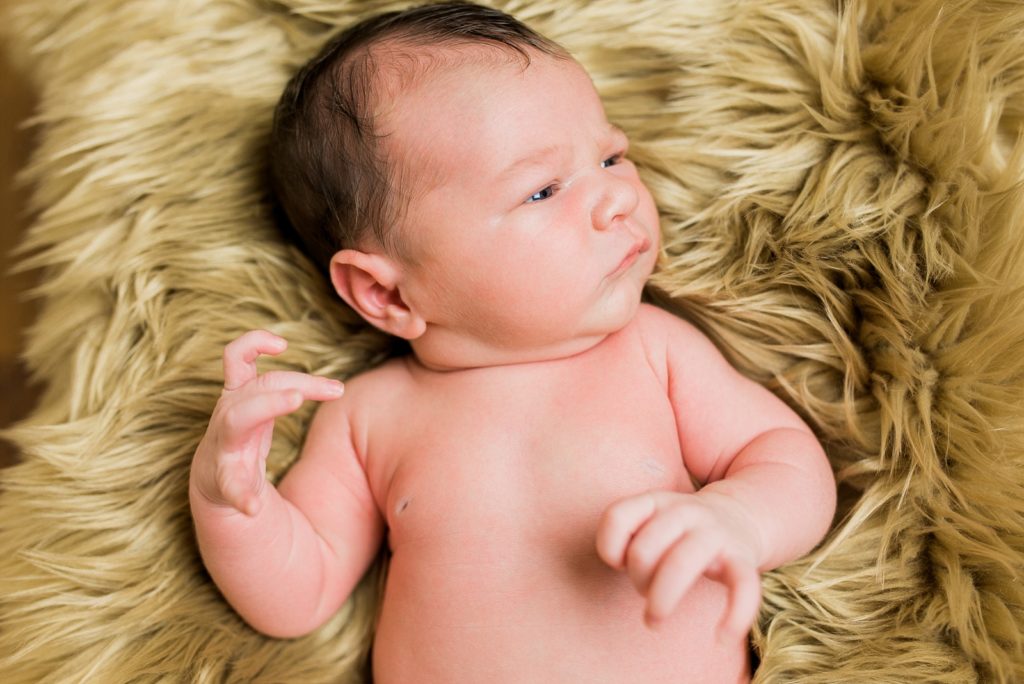 Newborn Fur Backdrop