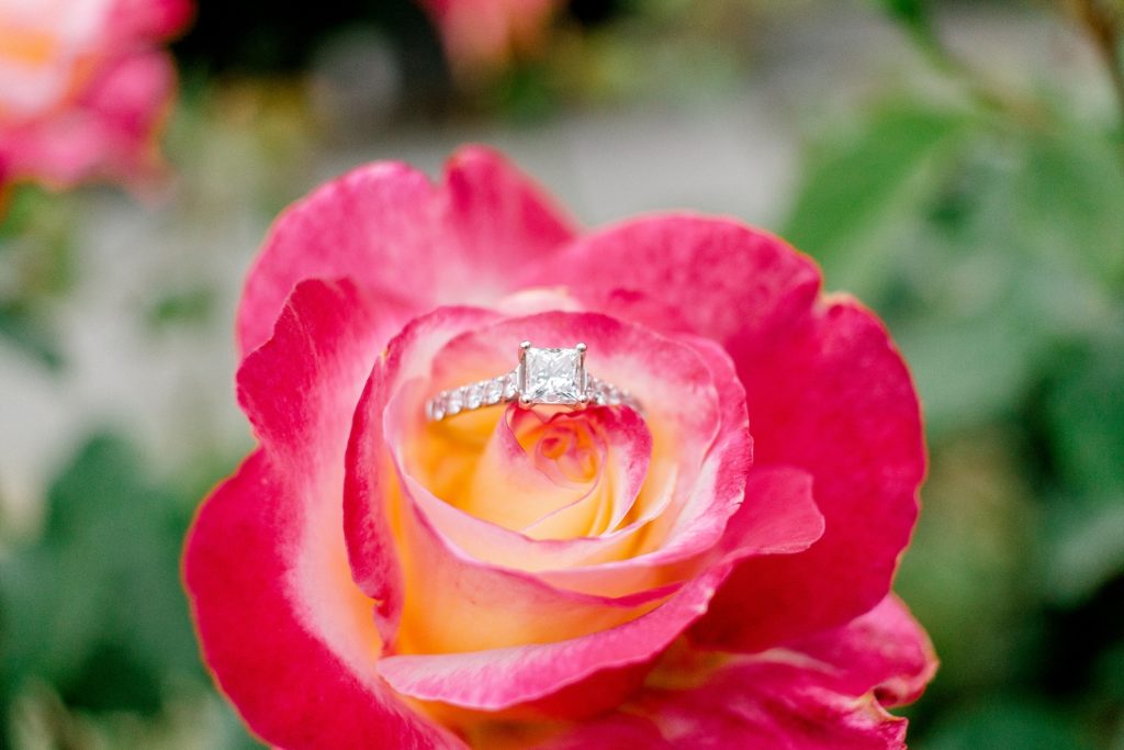 Point Defiance Rose Garden Engagement