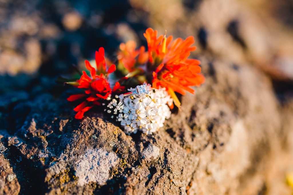 Engagement Ring on white and red flowers