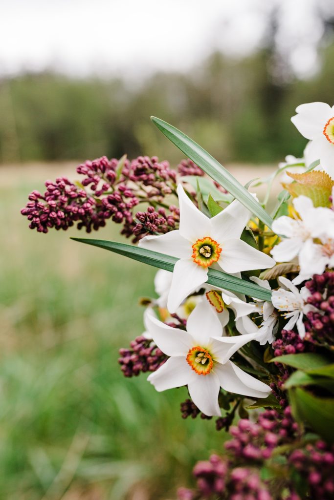 Wild Flowers in an Anacortes Meadow